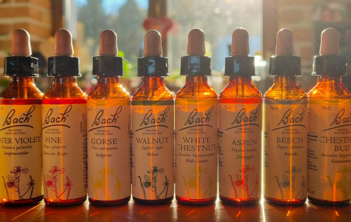Celodenný workshop Bachove esencie pre domáce použitie