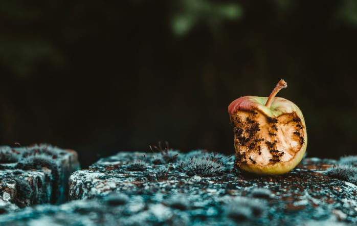 Systemické konštelácie Nespokojnosť