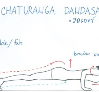 CHATURANGA DANDASANA – JOGOVÝ KLIK